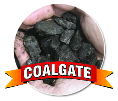 CAG has all 'missing' Coalgate files