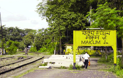 Homecoming: Chinese to revisit birthplace in Assam