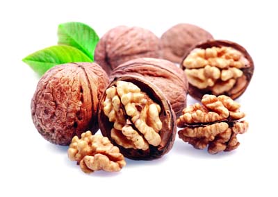 What links Walnuts To Brain