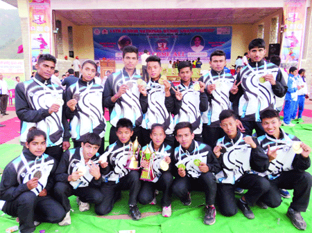 Is Wushu coming of age?