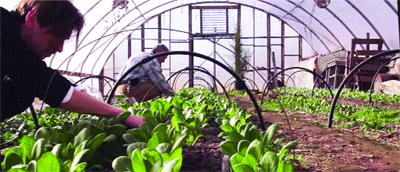 A wise use of resources