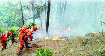 Devastating forest fires in Uttarkhand