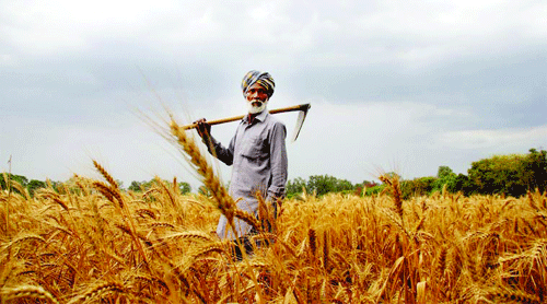 Indian farmers facing a Frankenstein moment?