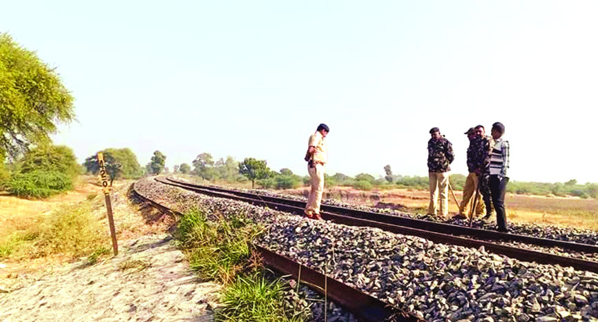 3 Asiatic lions  mowed down  by train in Guj