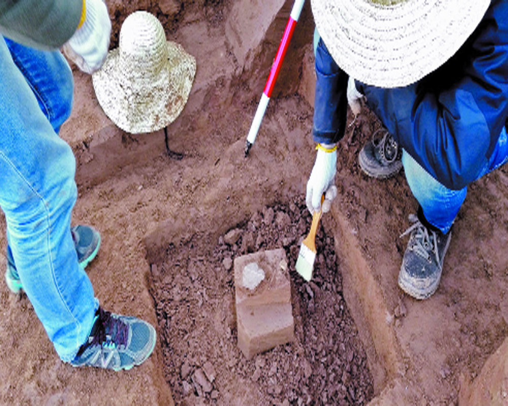 Archaeology and politics