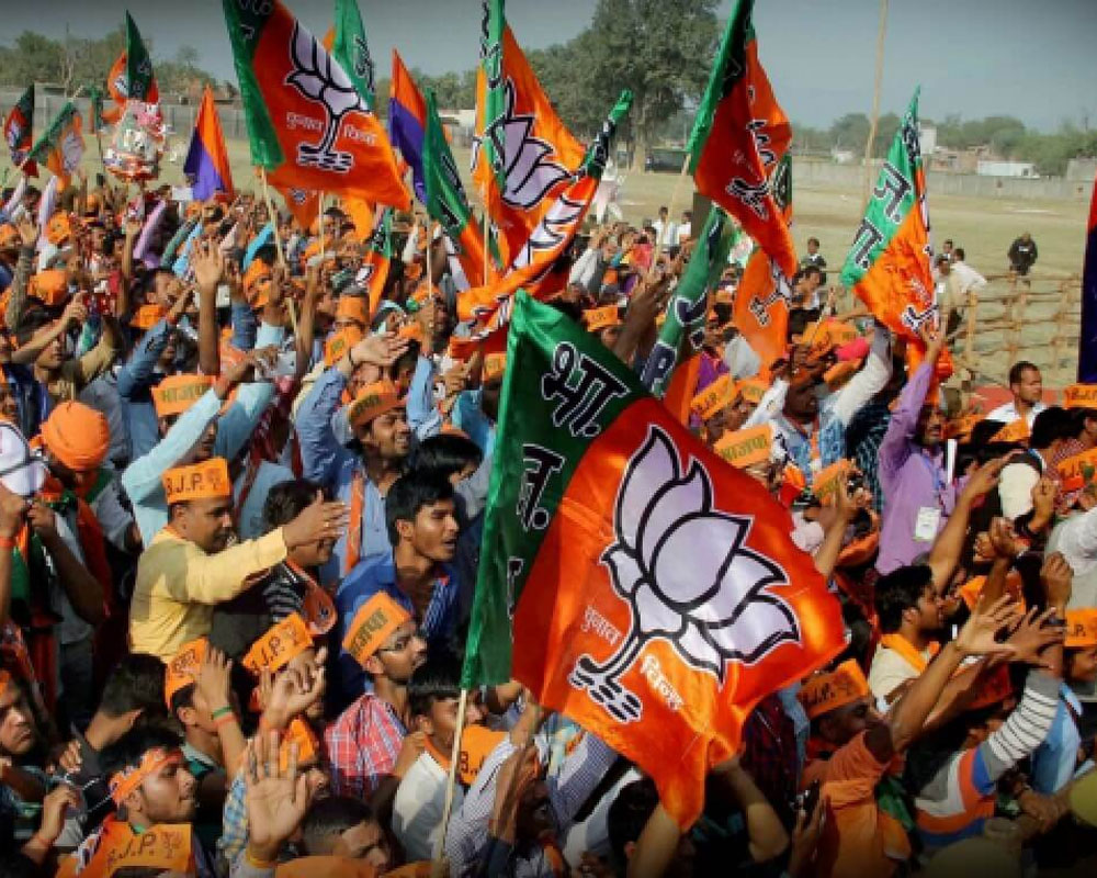 BJP sweeps urban local body polls in 4 districts of S Kashmir