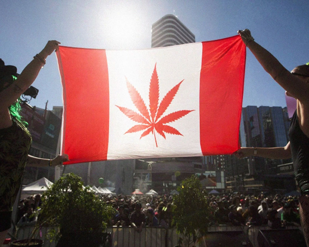 Canada legalises sale, use of cannabis