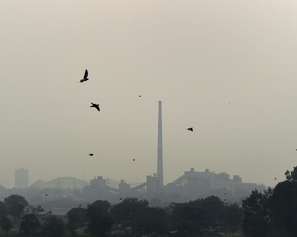 Delhi's air quality improves slightly even though stubble burning intensifies: Authorities