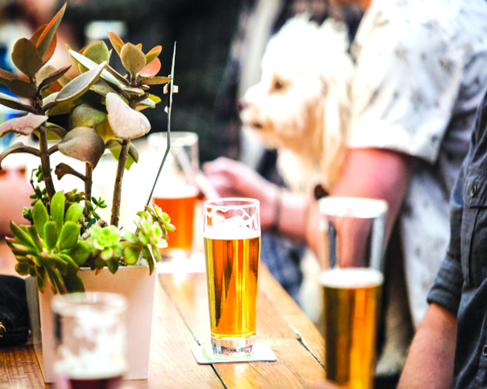 Delhi to say â€˜cheersâ€™ to freshly brewed beer