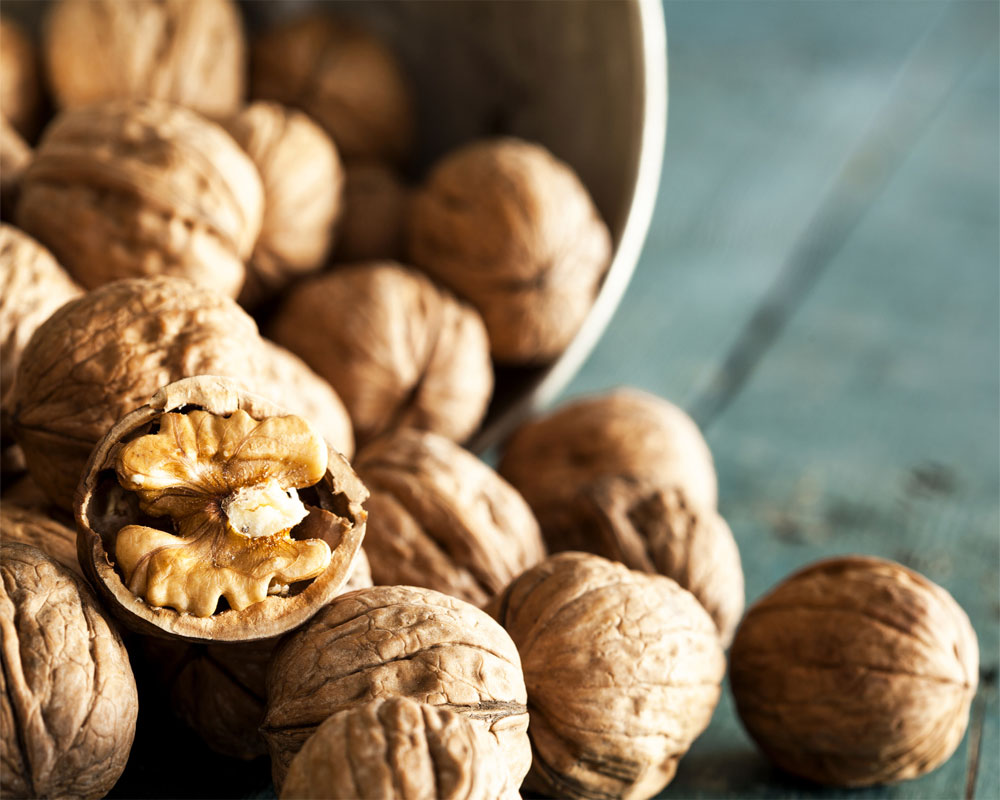 Eating walnuts may not cause weight gain: Study