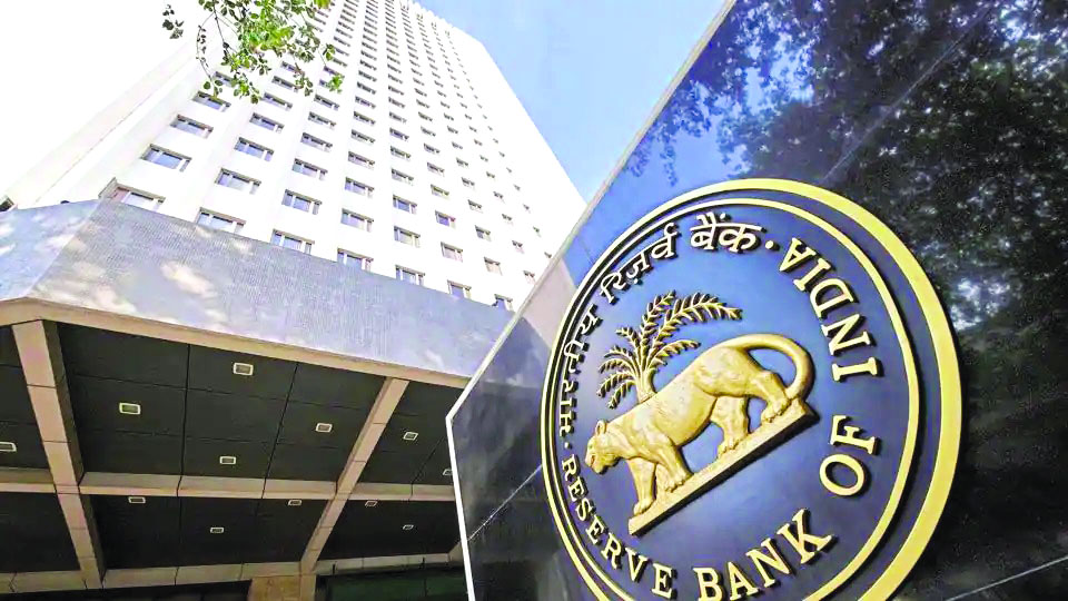 Expert panel to look into capital surplus issues: RBI Board