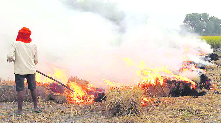 Farmers prefer stubble burning as it is cheaper