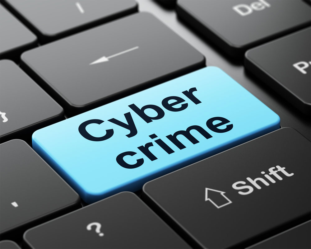 Fighting cybercrime
