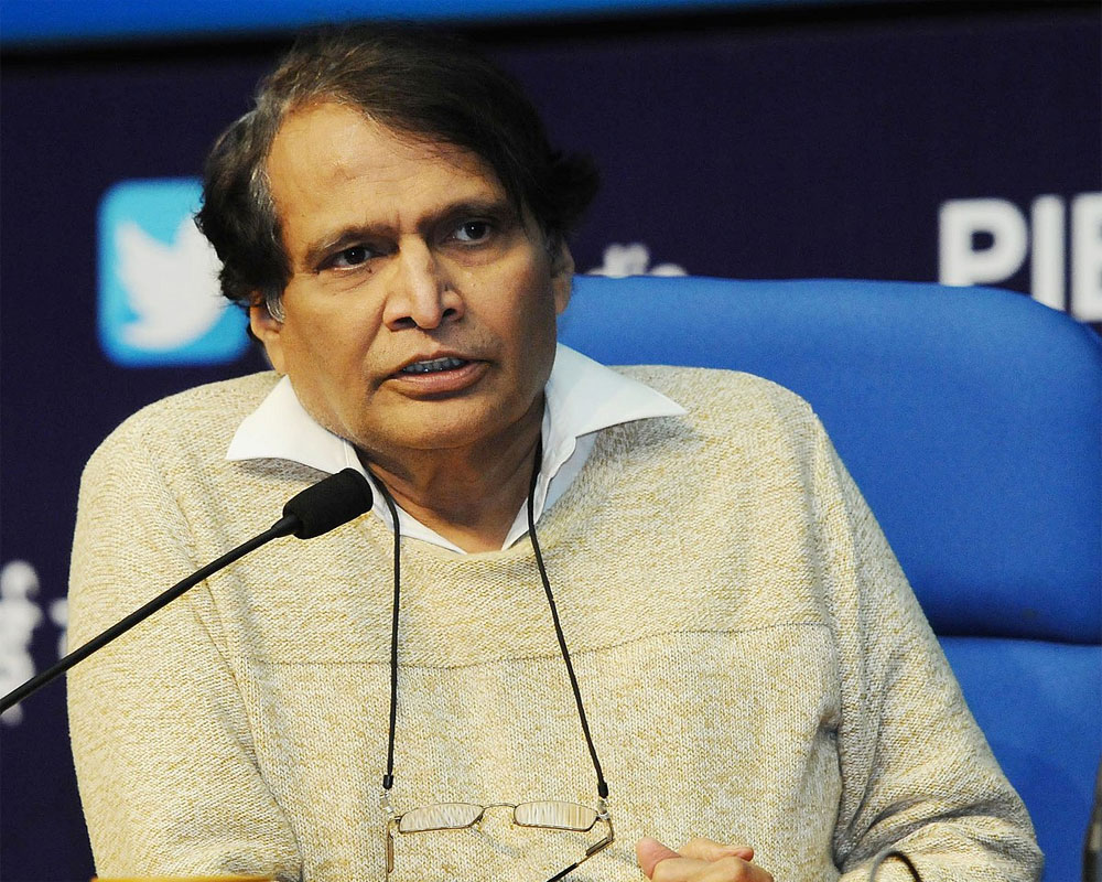 India making constant efforts to gain inroads into Chinese market: Prabhu