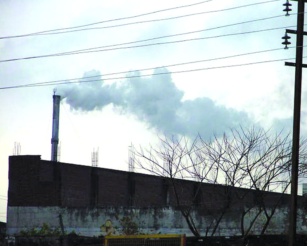 NMC seals 297 polluting units