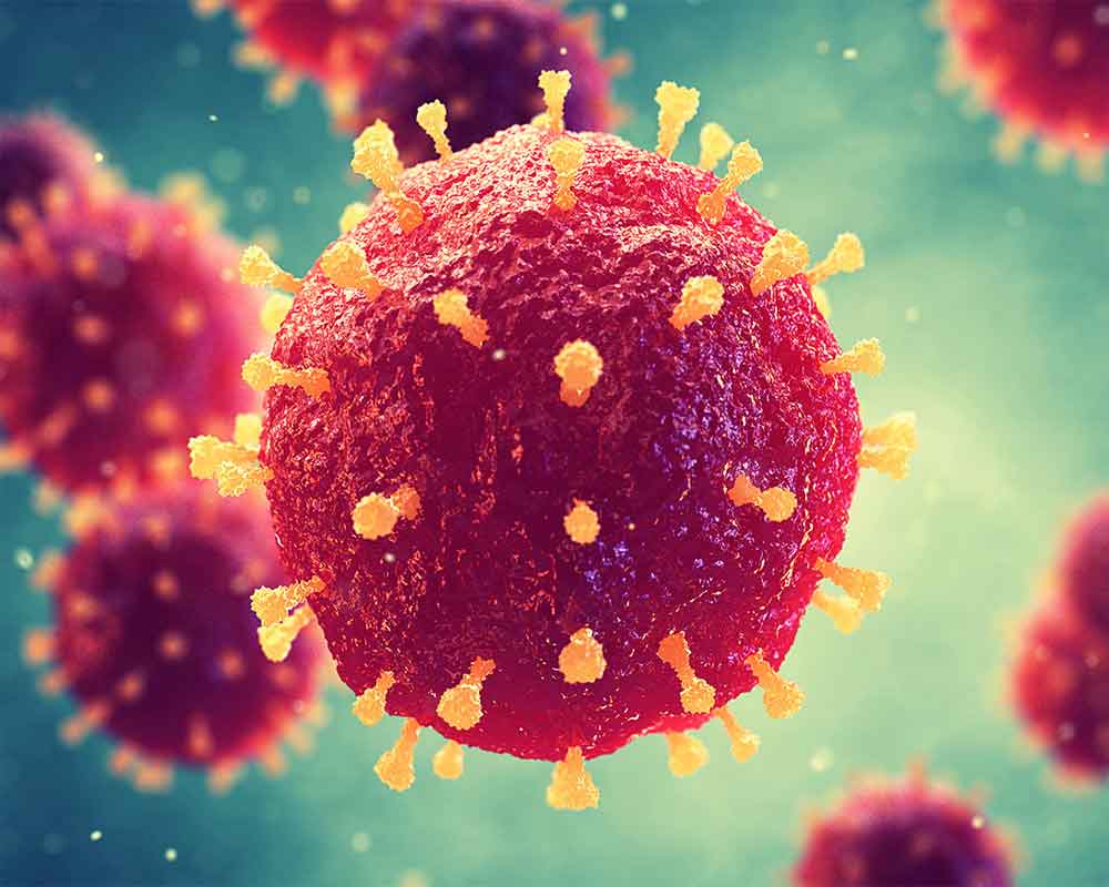 'How ancient viruses may help kill cancers'