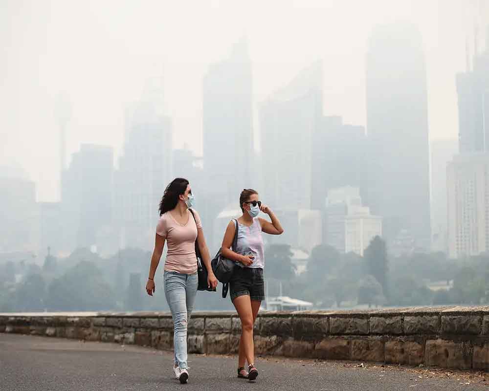 Air pollution linked to heart issues in humans, animals