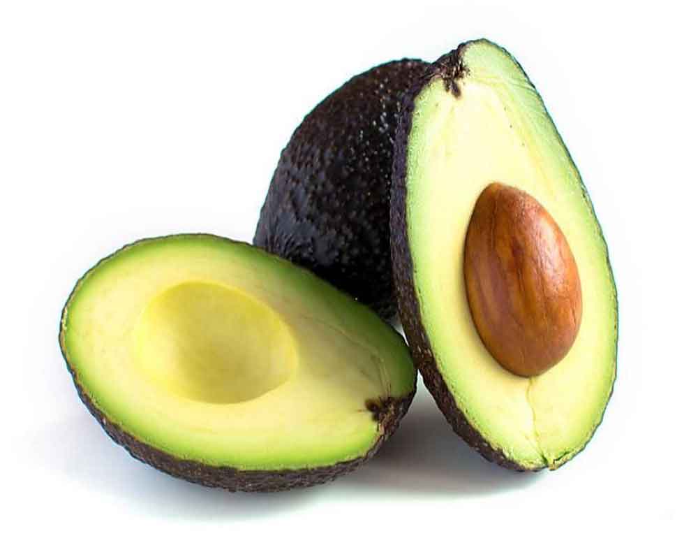 Avocado seed extract shows anti-inflammatory activity