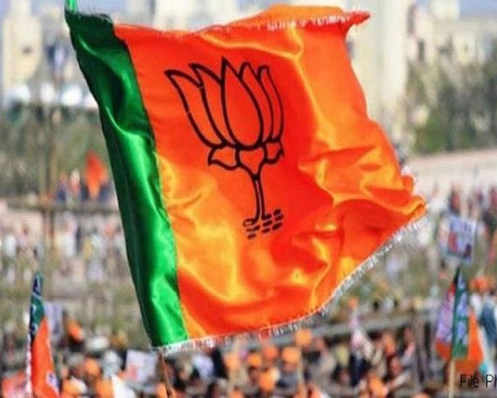 BJP gains unassailable lead in 9 seats, fight only for Rohtak seat now     '
