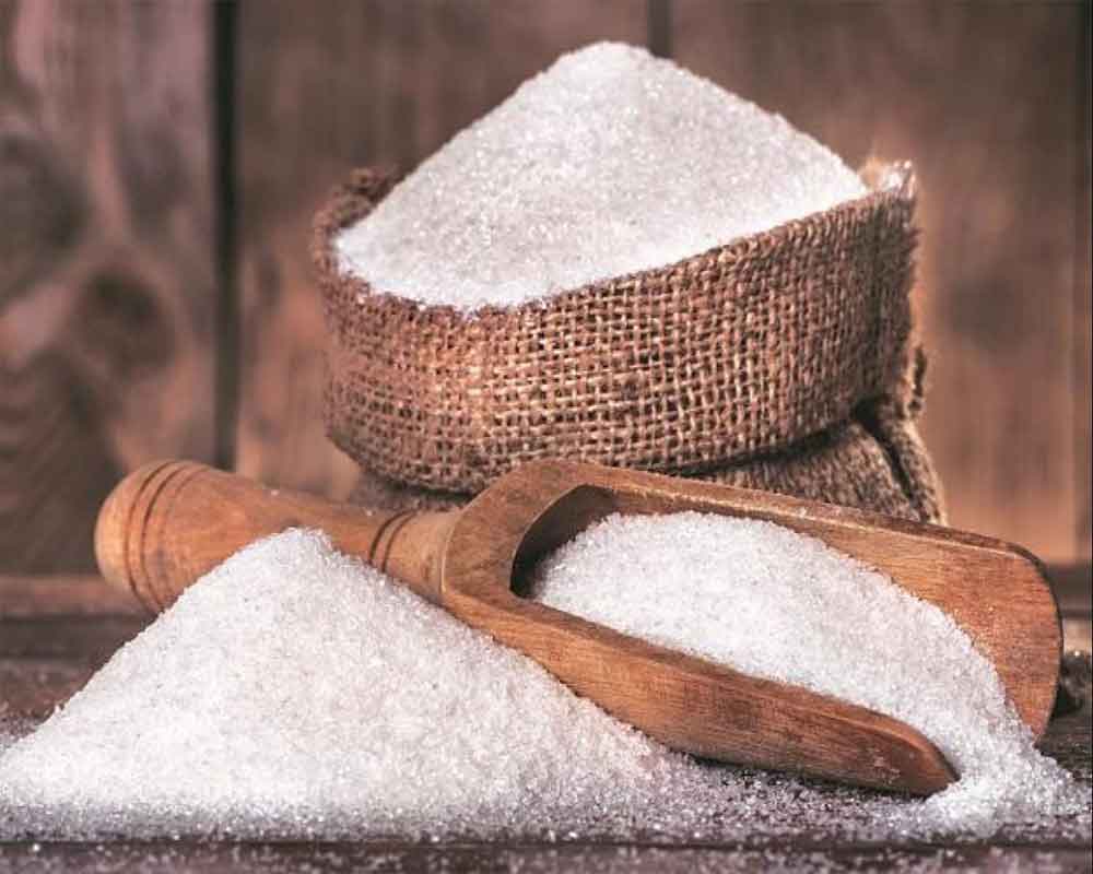 Brazil seeks WTO to set up dispute panel in case against India on sugar subsidy