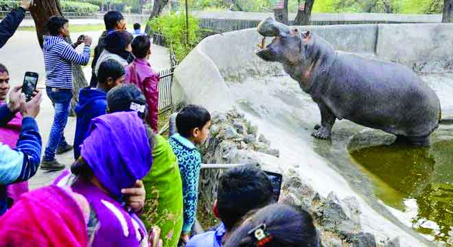 CCTVs to keep tabs on animals’ food in zoo kitchens