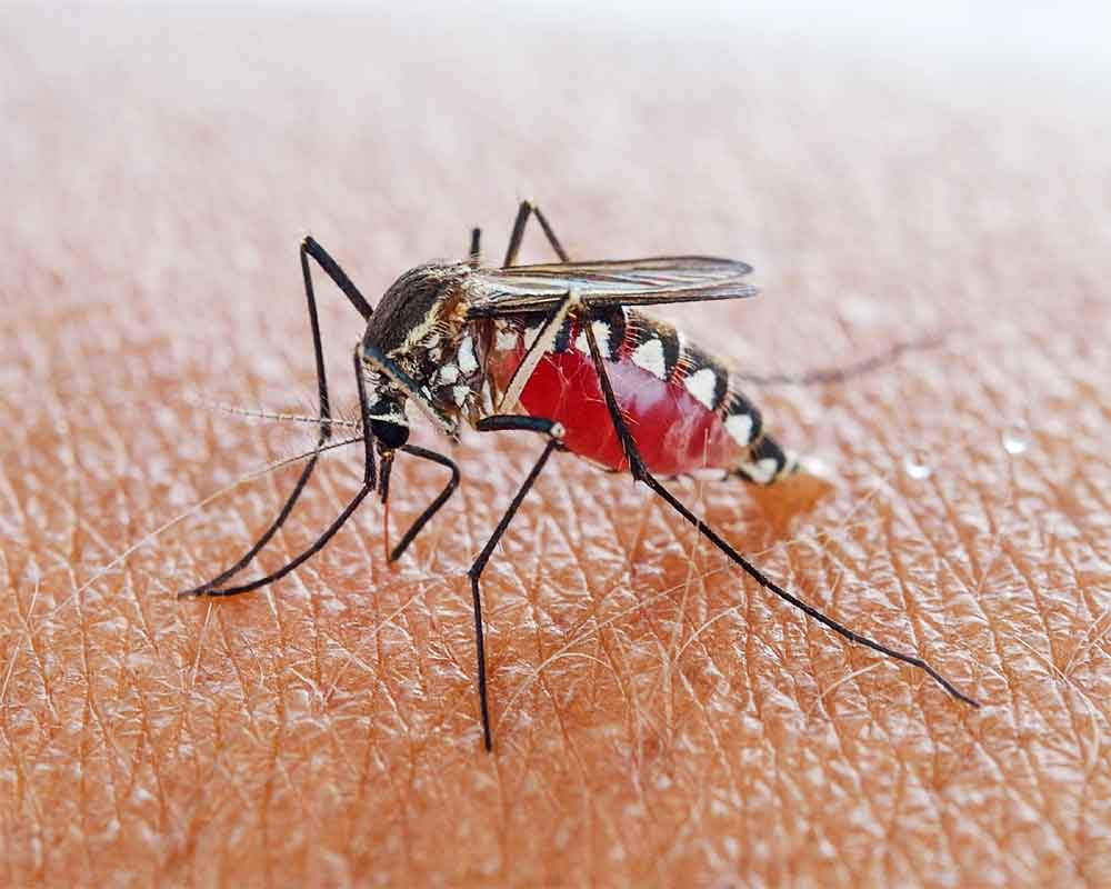 Climate warming may increase malaria risk in colder regions