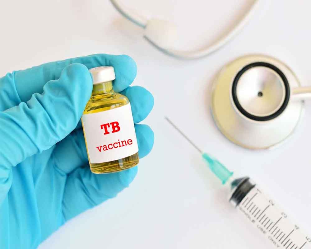 Clinical trial of TB vaccine for adults begins