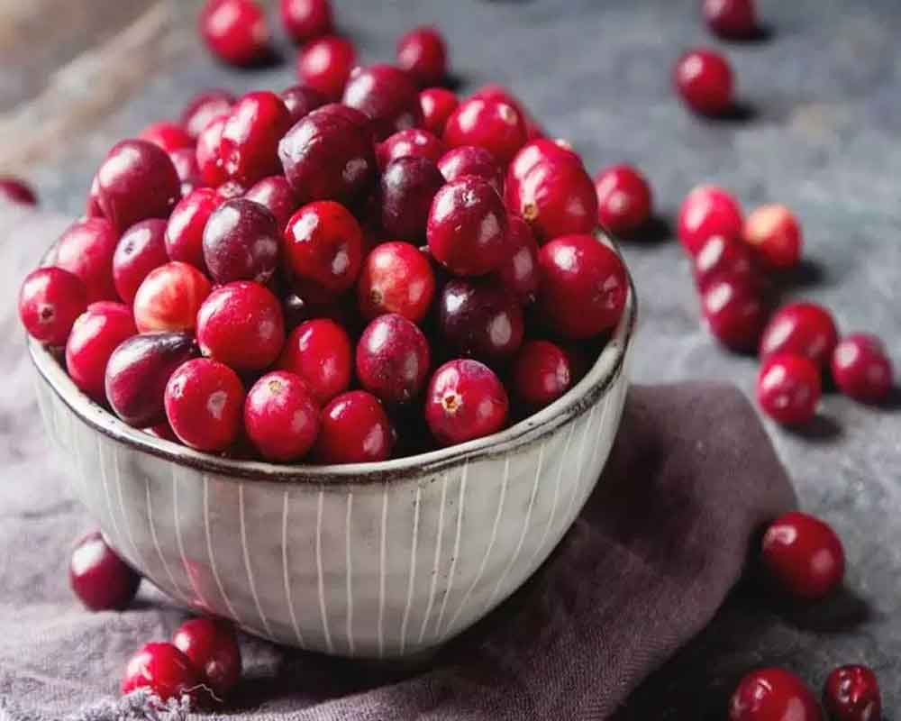 Cranberries may help combat superbugs: Study