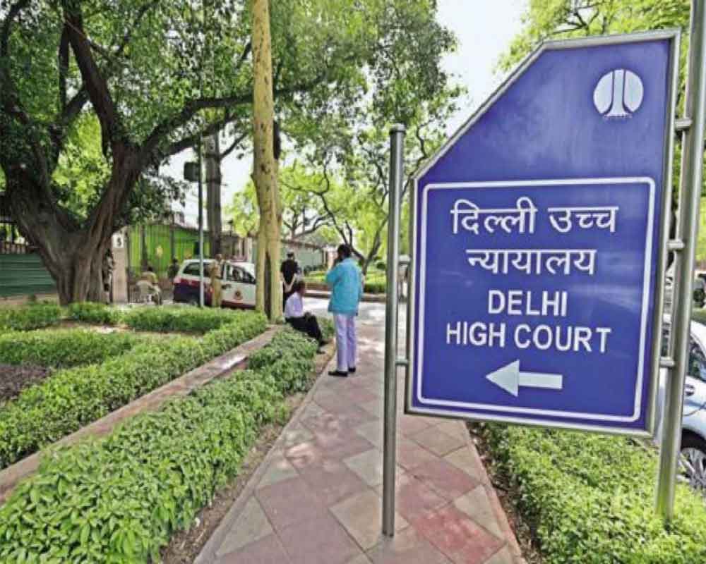 Delhi HC grants police protection to J-K rape victim, her husband