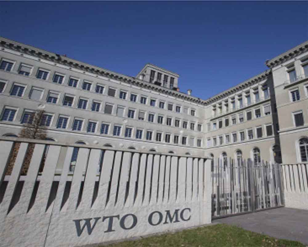 Developing nations call for filling vacancies at WTO appellate body for dispute settlement