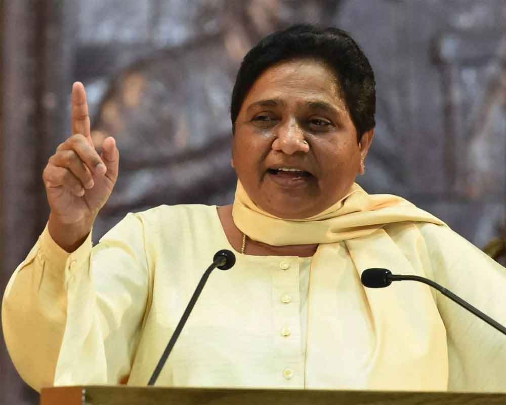 Don't depend on alliances to win votes: Mayawati tells UP BSP leaders