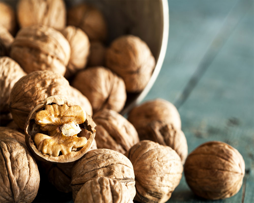 Eating walnuts daily may lower heart disease risk: Study