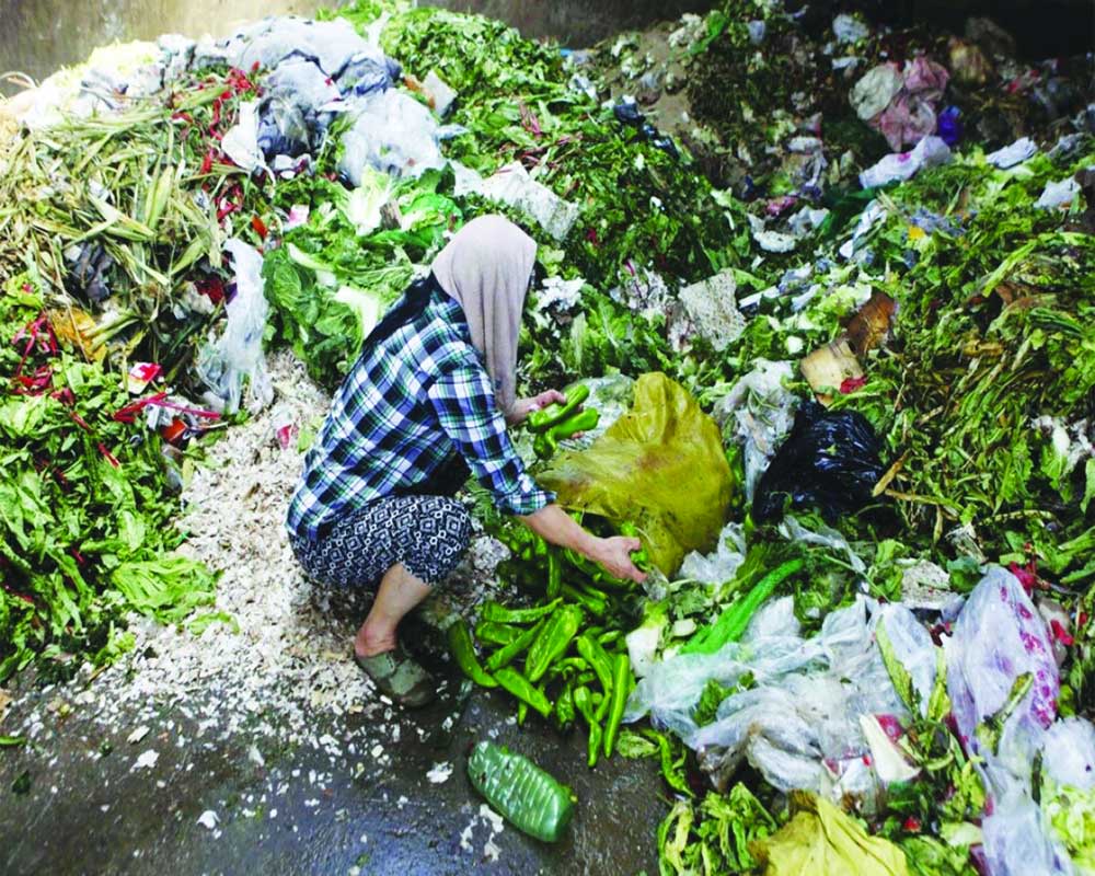 End food wastage, feed millions