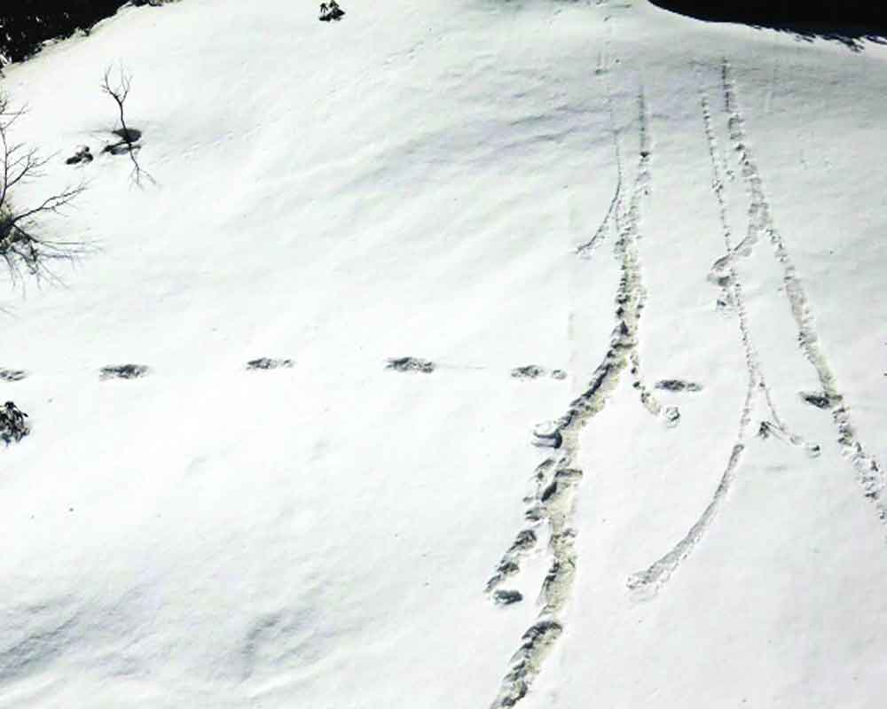 Fabled Yeti gives Army team its giant pugmarks!