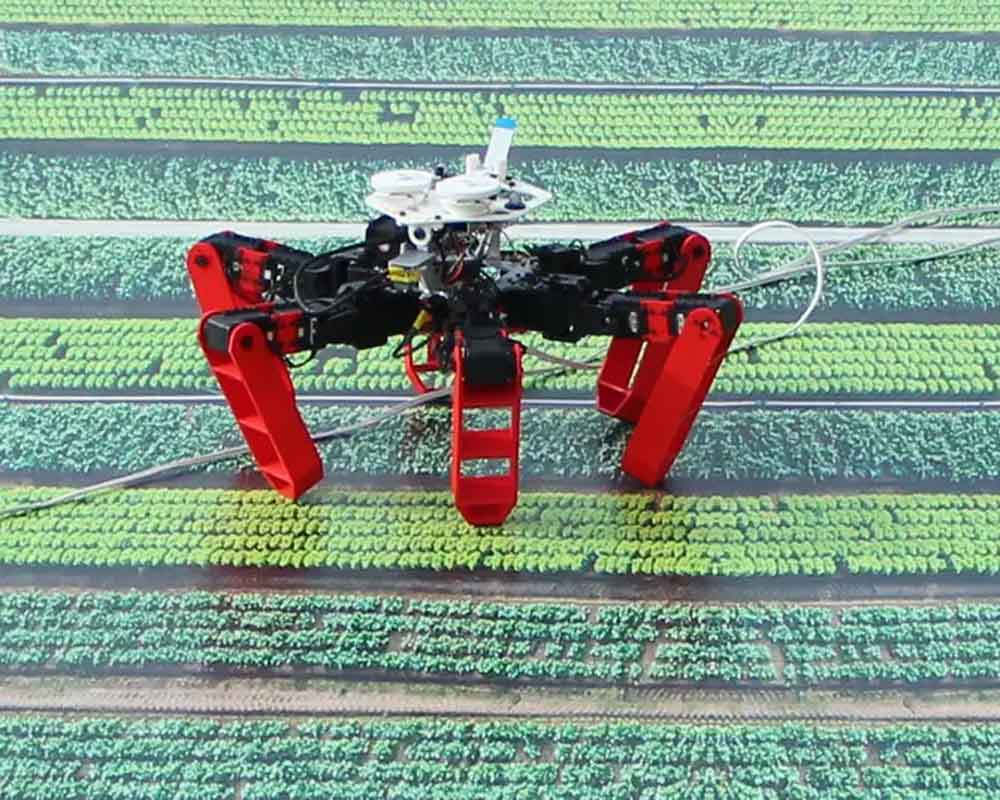 First walking robot that navigates without GPS