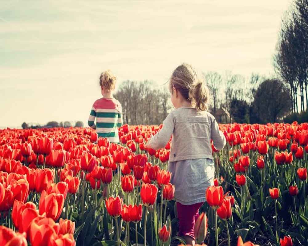 Flower pesticides linked to high BP in kids: Study