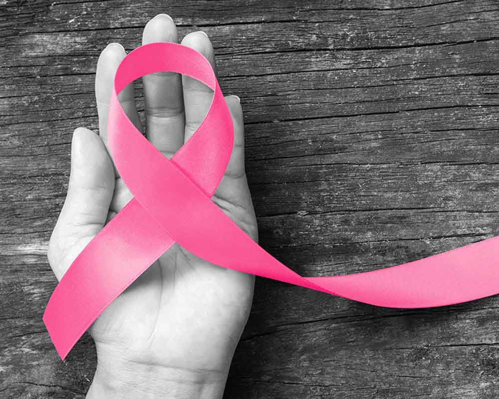 Gene 'switch' that helps breast cancer spread identified