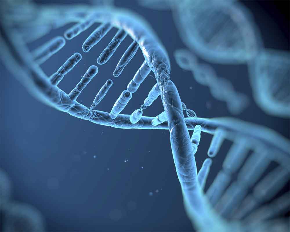 Genes may help predict how long a person will live: Study