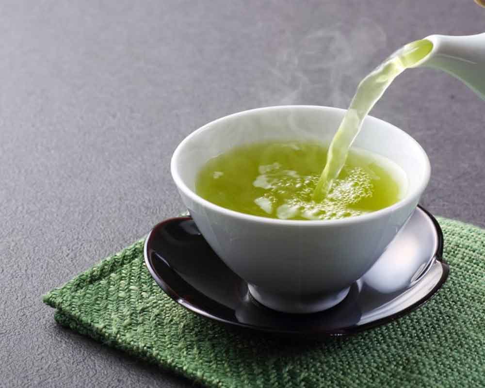 Green tea, rice compounds reverse Alzheimer's-like symptoms in mice: Study