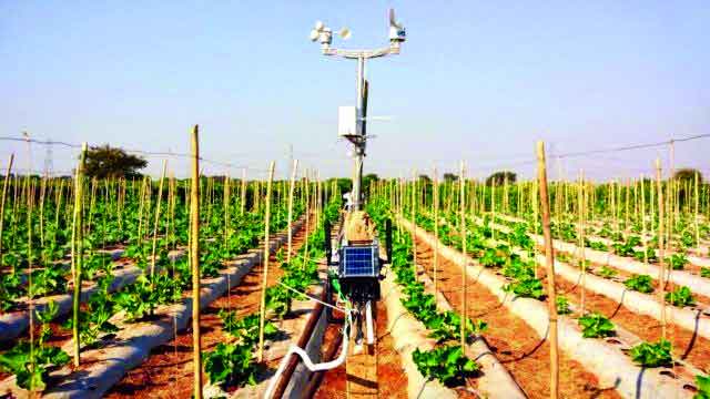 Harness big data in farming