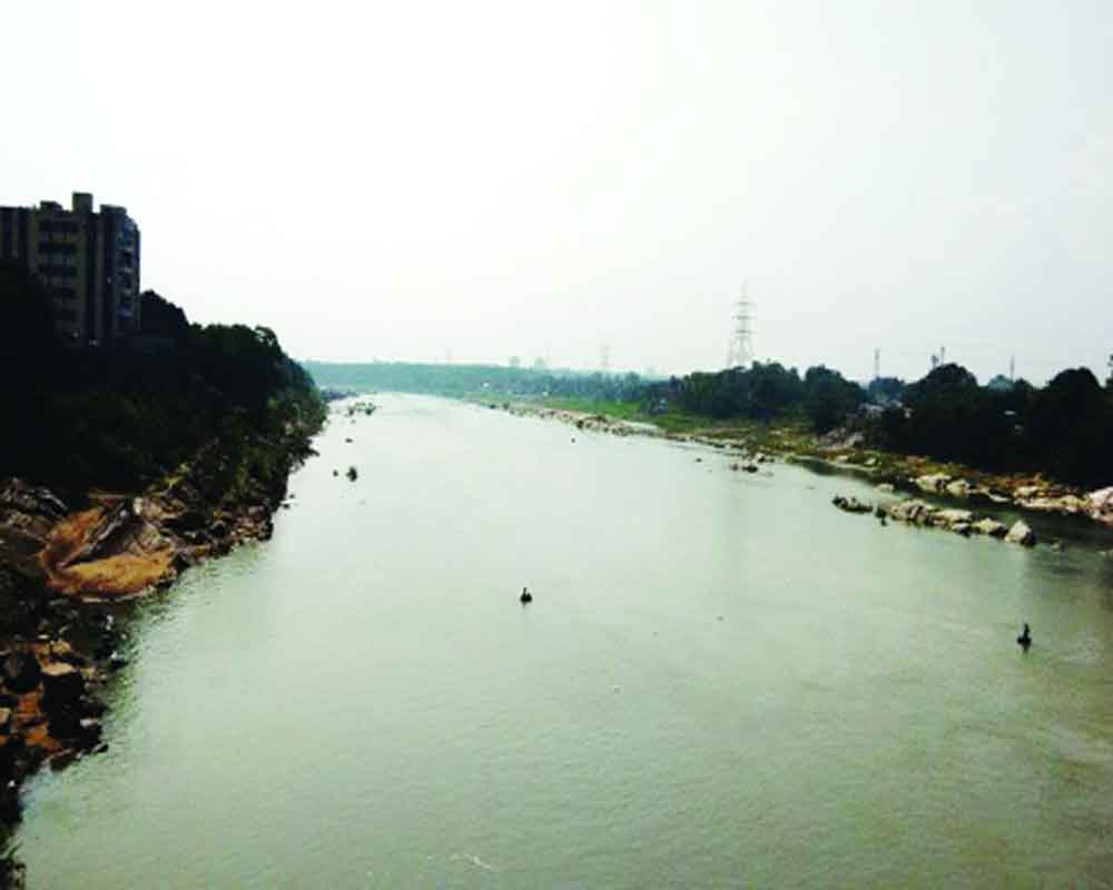 How to measure water needs