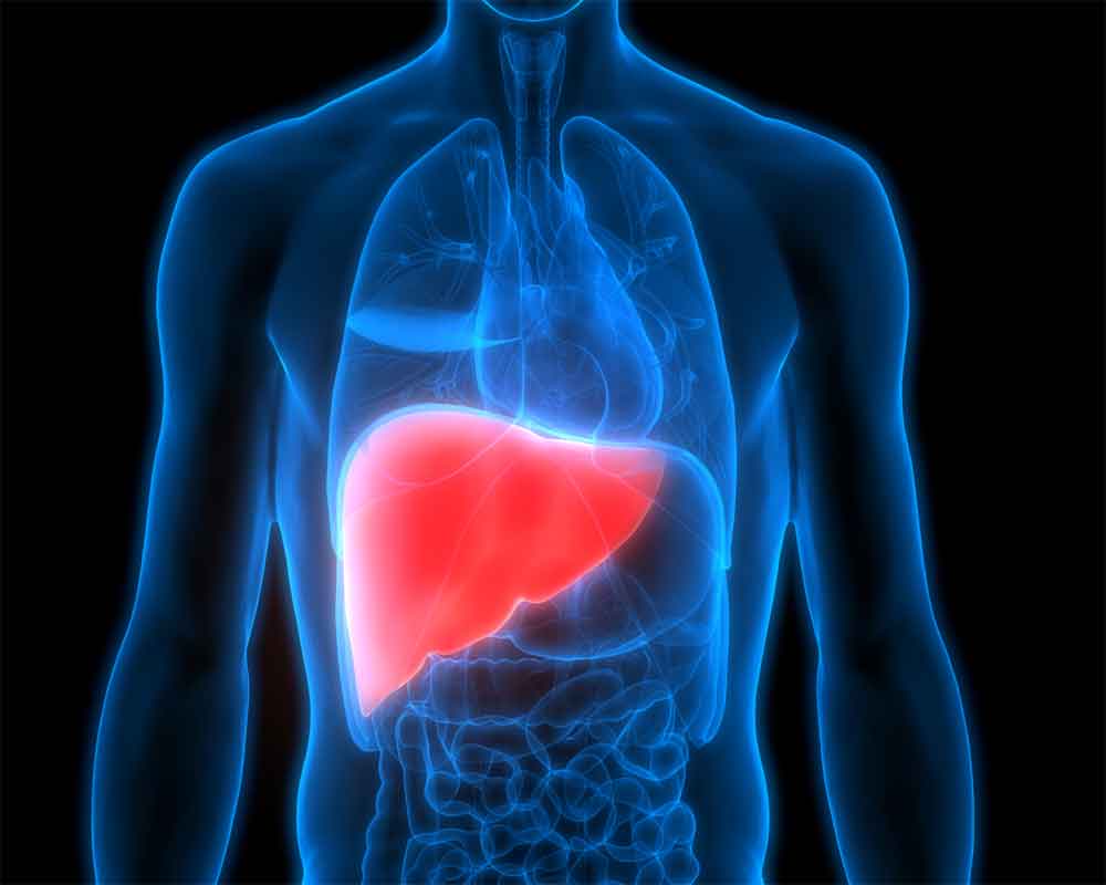 Hypertension drug shows promise in liver disease