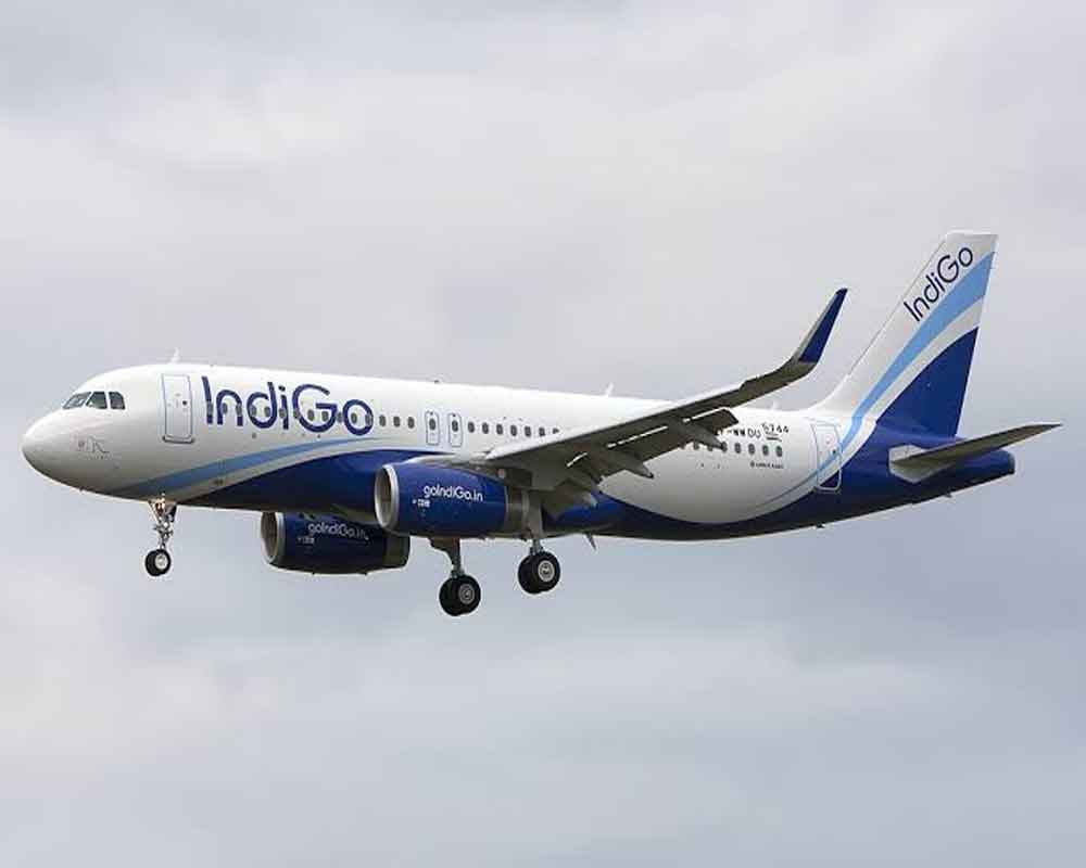 IndiGo, Qatar Airways enter into codeshare agreement