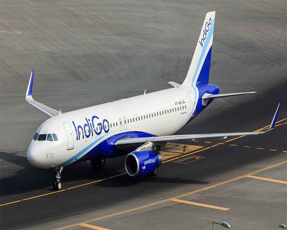 IndiGo shares plunge 10 pc in early trade