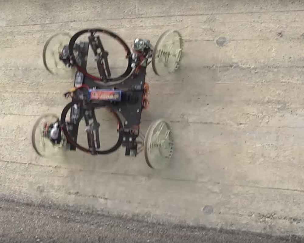 Leech-inspired soft robot can climb walls