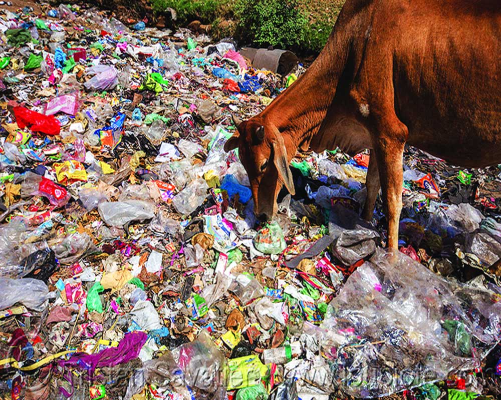 Manage plastic waste