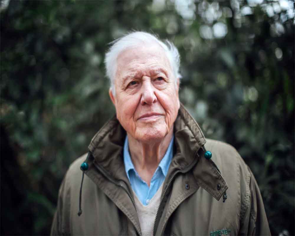 Naturalist and broadcaster David Attenborough to get Indira Gandhi Peace Prize for 2019