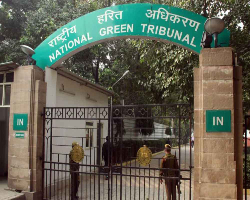 NGT refuses to entertain plea challenging Delhi govt's decision to implement odd-even scheme