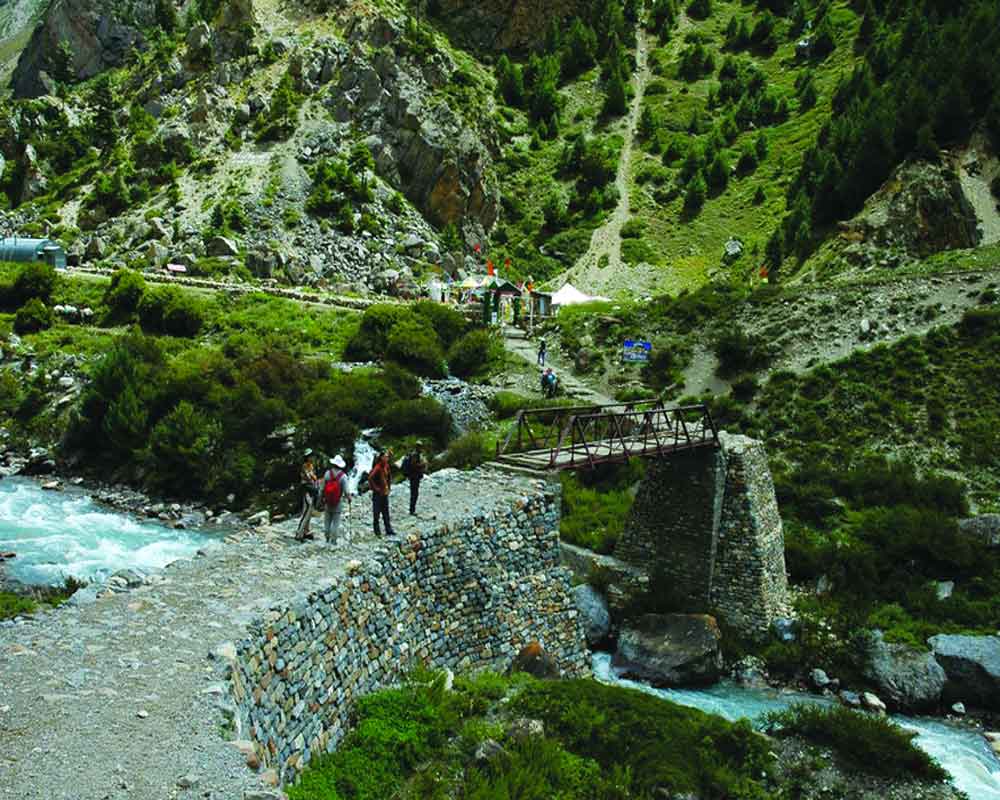 Nip this dispute in the bud