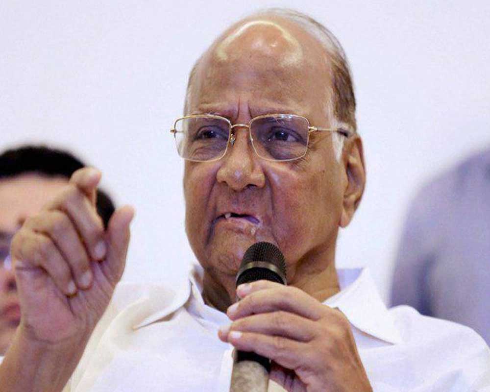 Not difficult working with Sena compared to BJP: Pawar